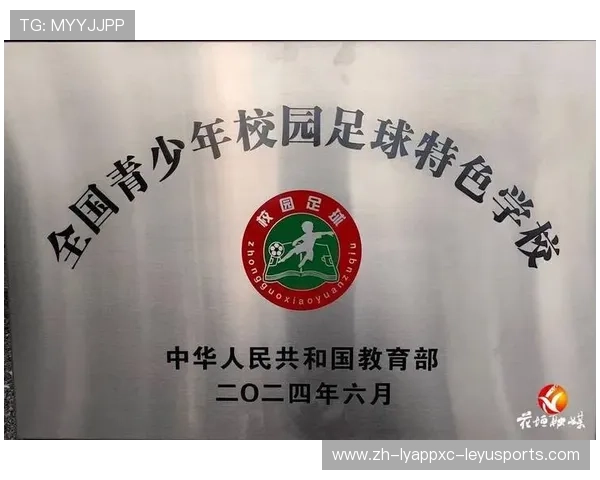 青少年足球场地标准化建设与教育价值 青少年足球场地标准化建设与教育价值